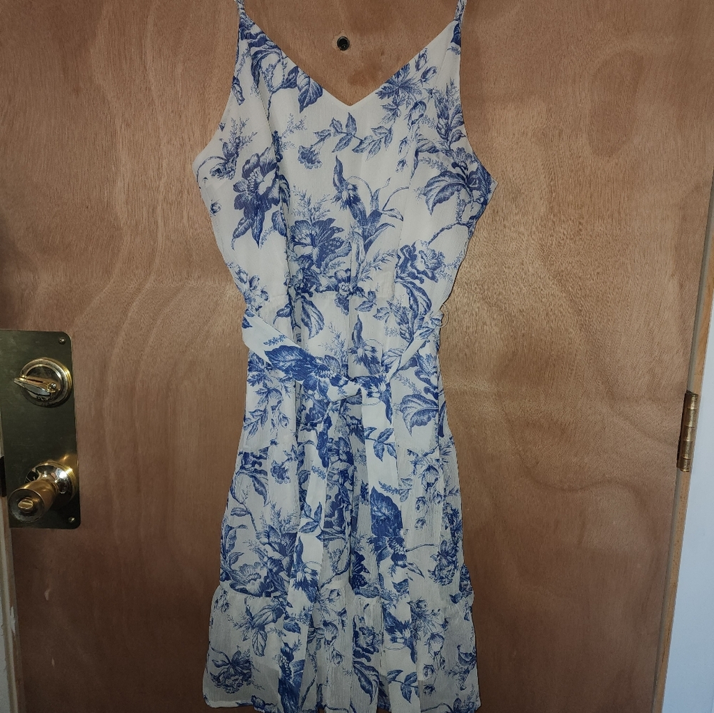 Express ivory and blue floral dress